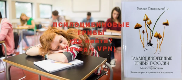 стаф Алексин