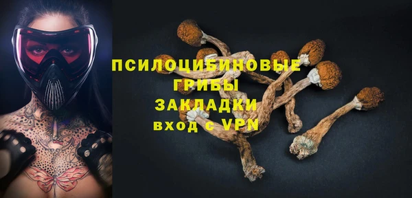 стаф Алексин