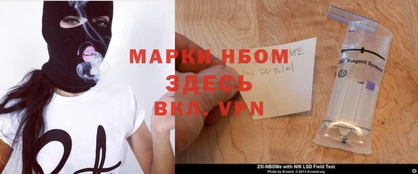 стаф Алексин
