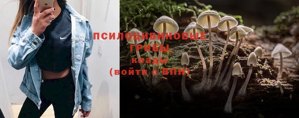 гашишное масло Алзамай