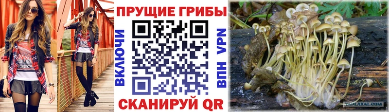hydra ТОР  Прохладный  Галлюциногенные грибы ЛСД 